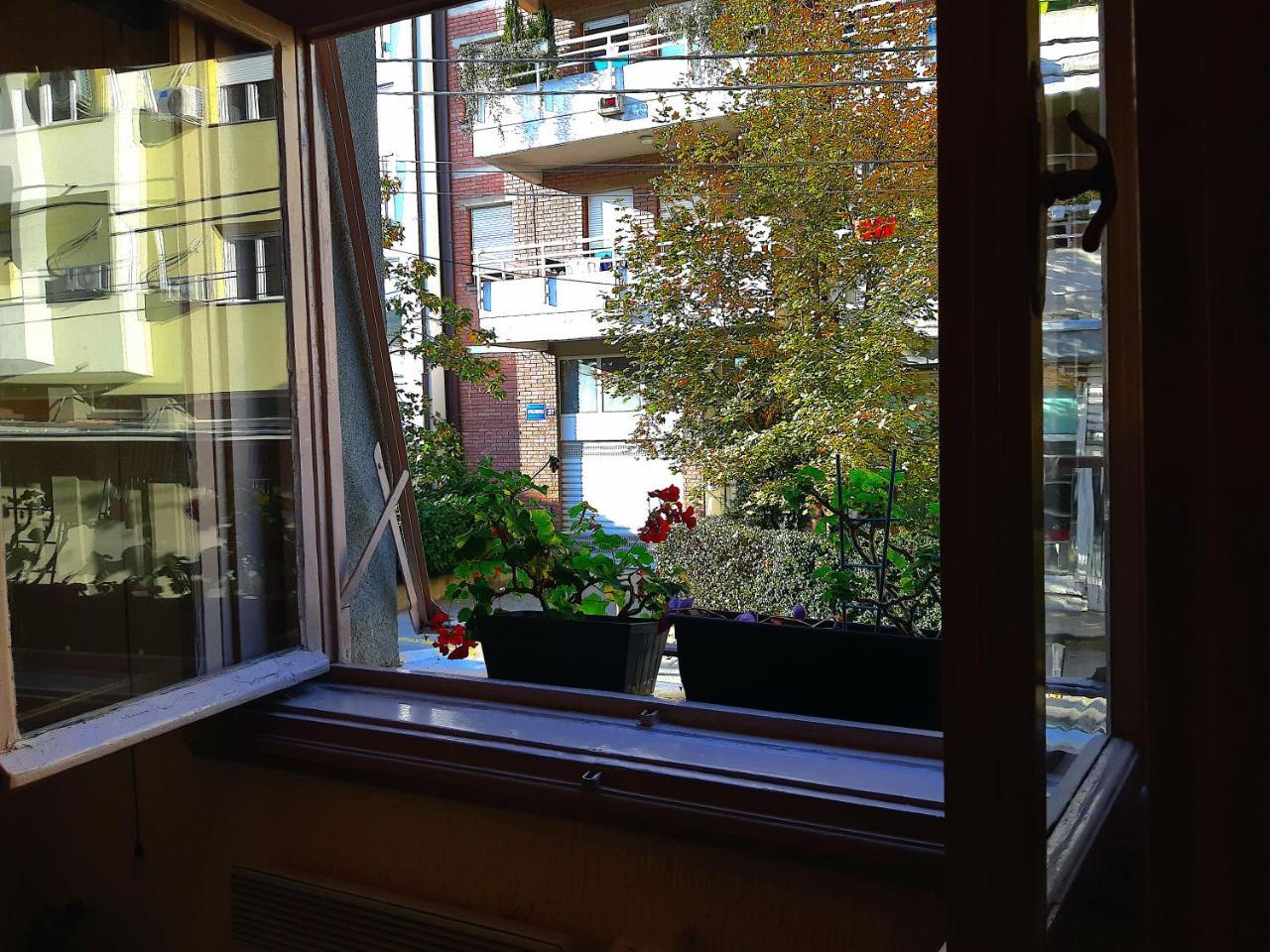 Jelena Apartment Belgrade Exterior photo